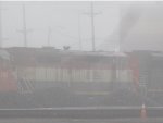 BCOL 4611